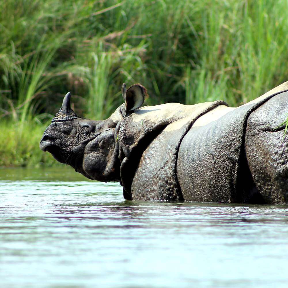 Chitwan Plumbing Service